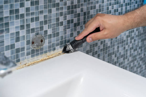 Best Insurance-Related Mold Remediation in Chackbay, LA